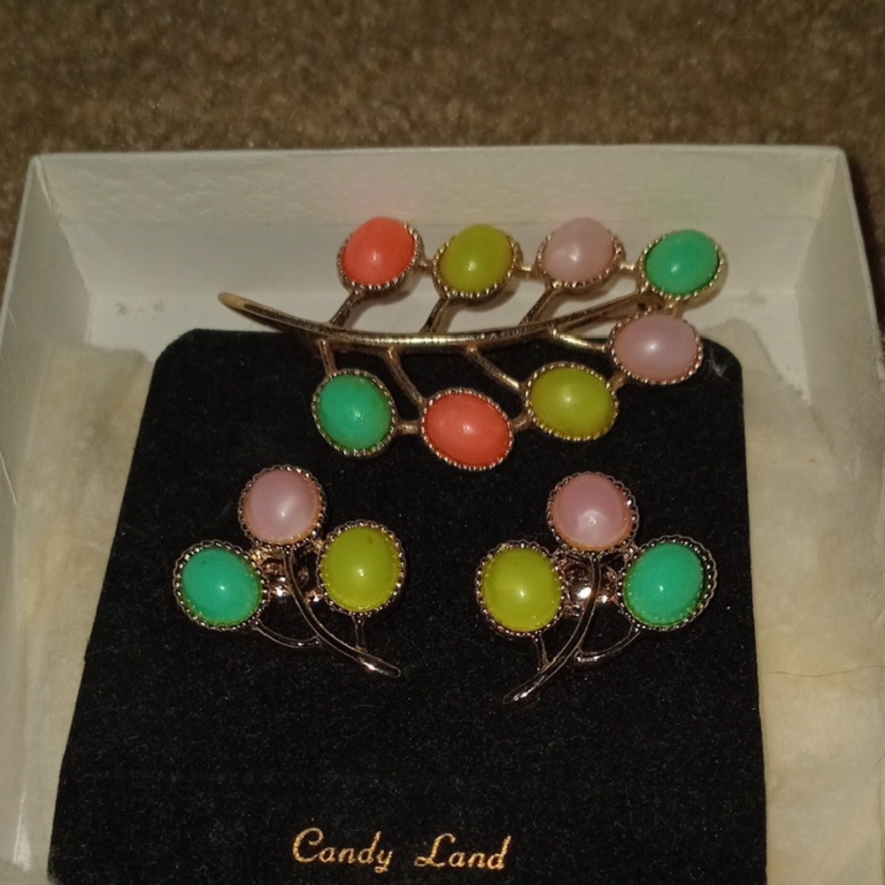 Sarah Coventry Multicolor Brooch and Earring Set SB.34